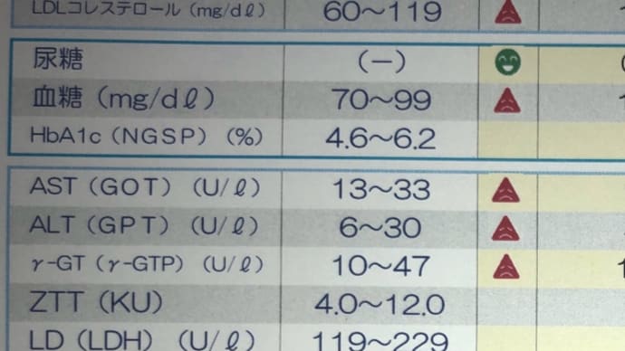 要再検査:(;゙゚'ω゚'):