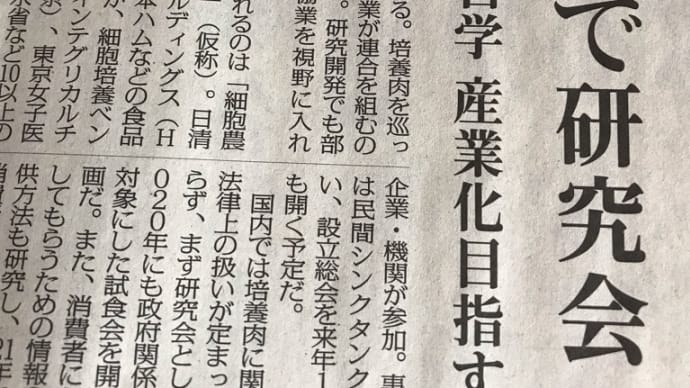 チキン ジョージが本当に現われるカモ😱🐔🐔🐔