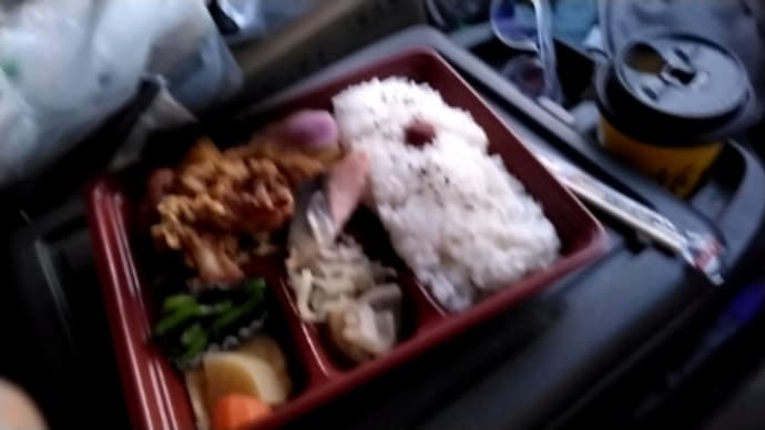 研究所近くの公園で弁当食べる!