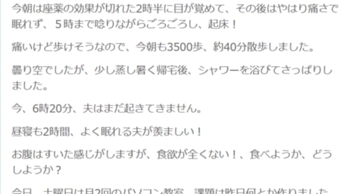 昼下がりには少し快復・・・/ 1年前の記事