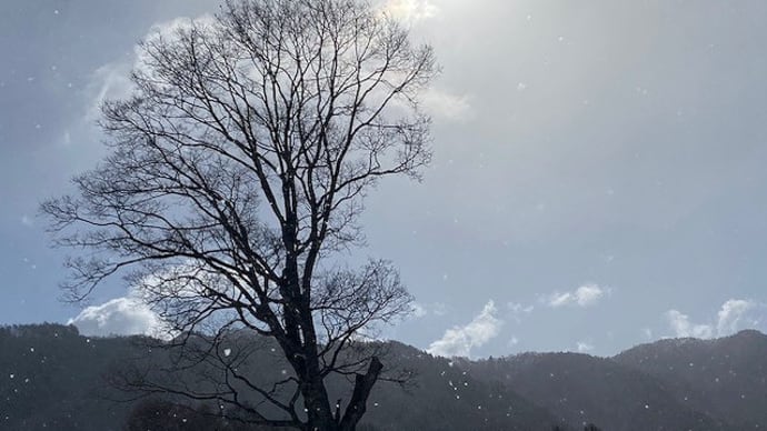 青空で雪が舞っています
