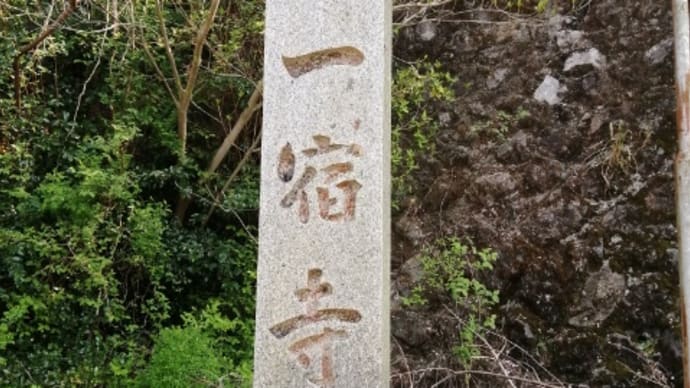 一宿寺から太龍寺山と今後の株価予想