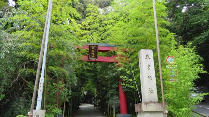 熱海・伊豆今井浜・修善寺 #1 熱海・来宮神社