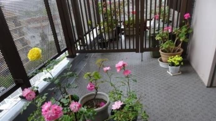 朝起きて、玄関ドアを開けたら