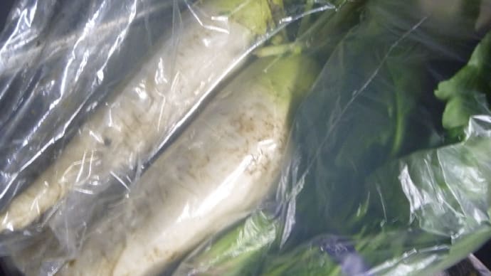 とんでもない所から・・・
