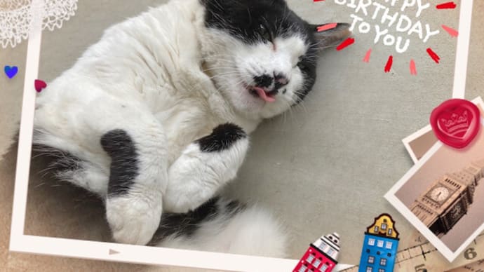 まるこ12歳