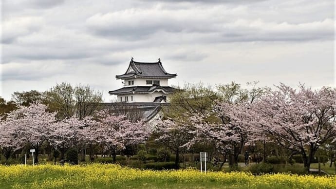 城と桜と菜の花と