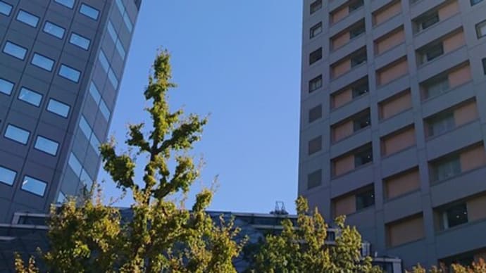 #299 -’24. プラシャンティでランチを頂いて