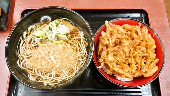 亀よしでミニかき揚げ丼セット(2022年11月29日)