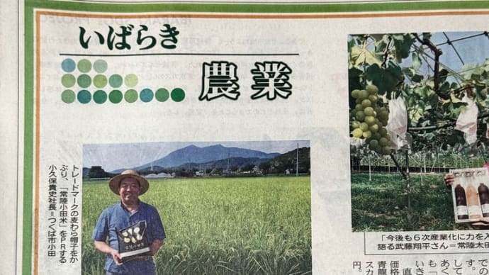 茨城新聞に掲載