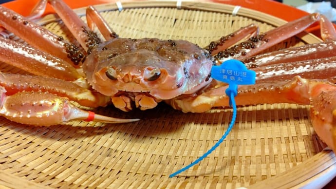 活カニを食べに夕日ヶ浦温泉坂本屋瑠璃亭へ