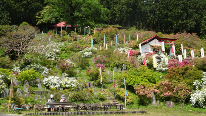 五大尊つつじ公園~鴻巣河川敷