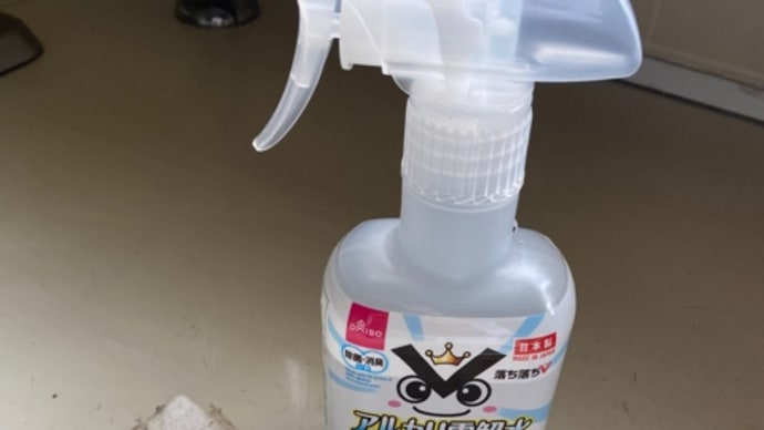 最近の掃除のお供