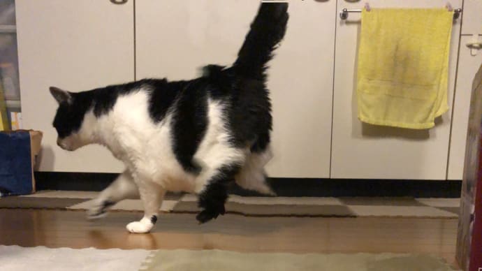 心霊写真?!…。