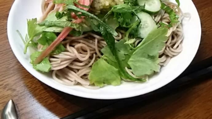 和え蕎麦に活かす・お塩控えめ めんつゆ