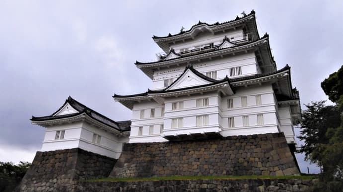 ２０２０・８・２３　軽い昼飯はういろう別館・杏林亭
