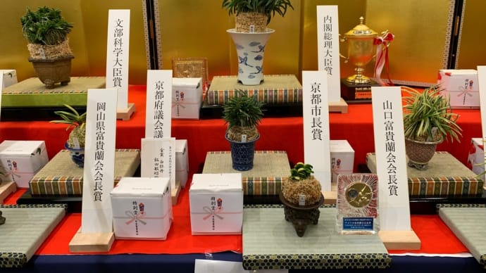 第76回 日本富貴蘭会 美術品評全国大会の展示品