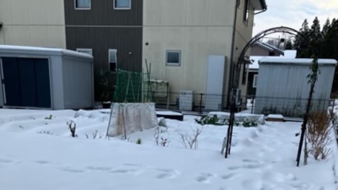 雪の庭で遊んだ休日