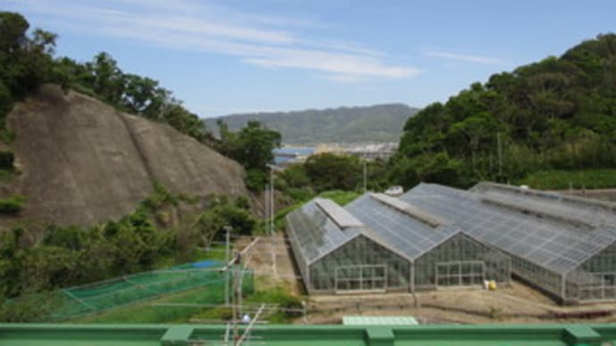 「小さな学校、大きな家族」