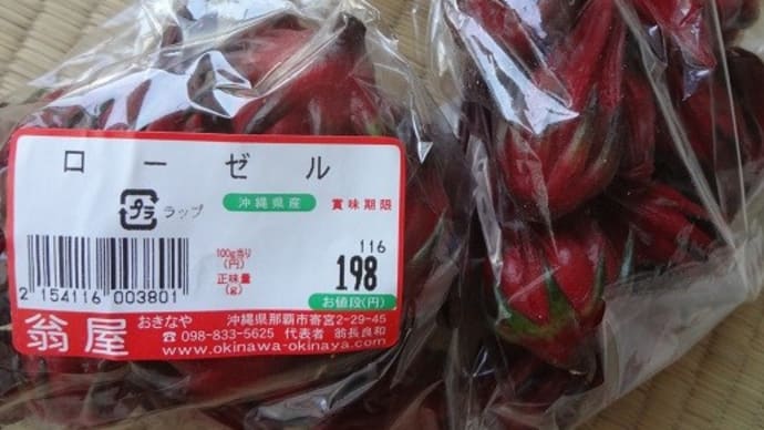 大賑わいの銀座まで遠征。わしたでローゼル発見!