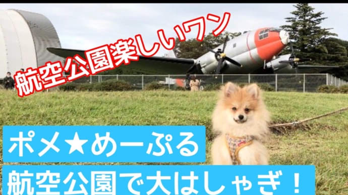 メープルと航空公園へ