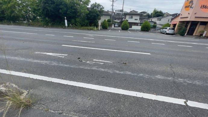 げろい!事故 すっぽんかな?