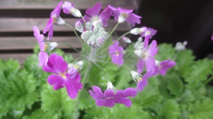 荒天候の街