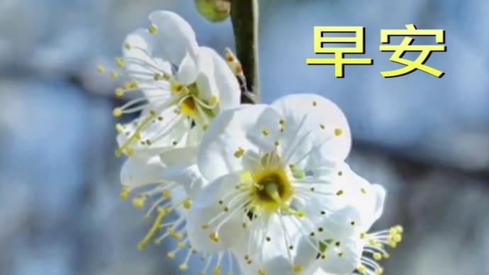 2月もありがとうございました