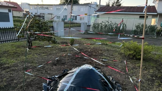 カラスが悠然と散歩してると思ったら