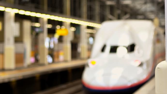 【新潟】駅に行って見たその訳は
