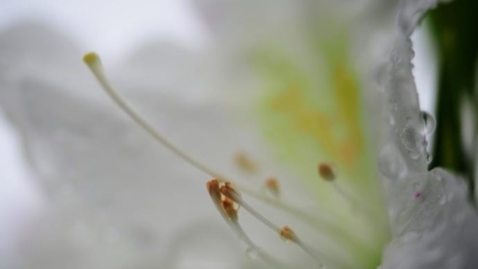 雨やみ2