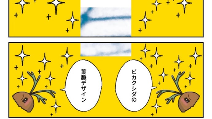 ビカクシダの葉脈をプリントした「てぬぐい」作りました