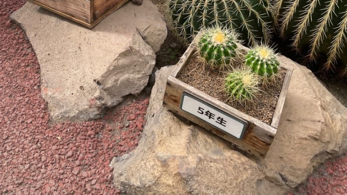 右を見ても左を見ても