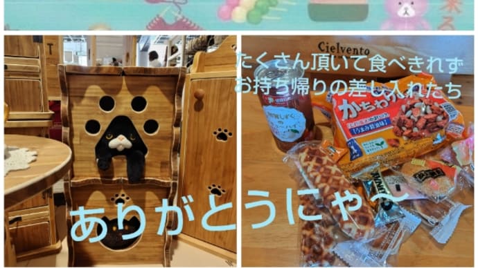 ありがとうございました~