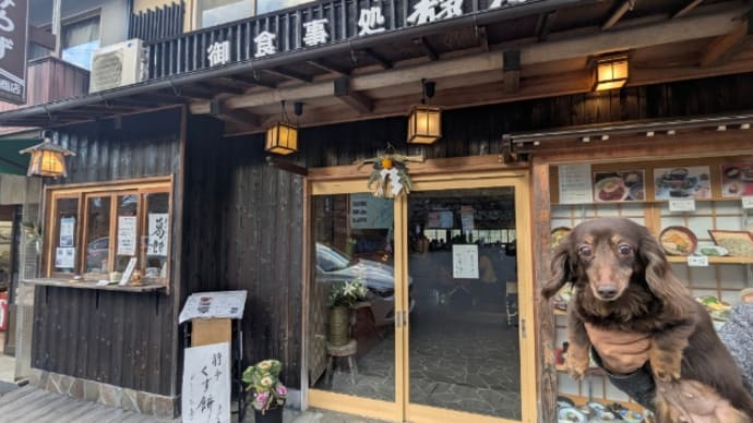 昨年と同じく寝込んでたお正月