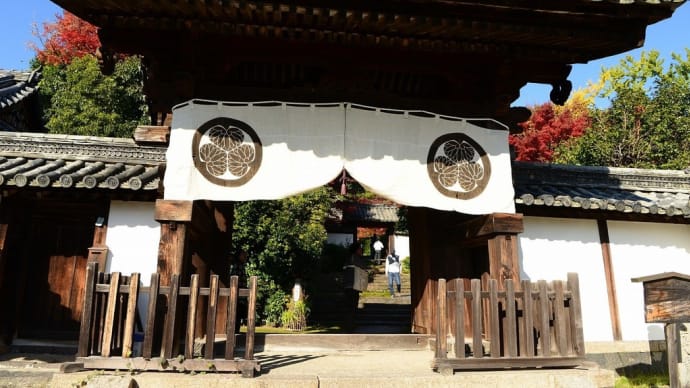 興福院(こんぶいん)の特別拝観