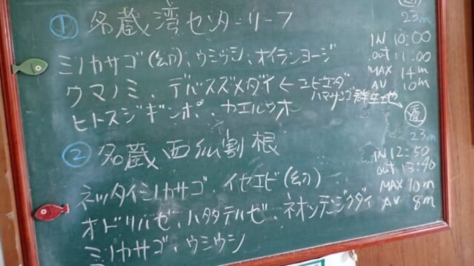 20221118ダイビングログ