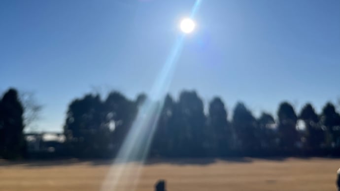 1月2日(木)真っ青な空と眩しい太陽