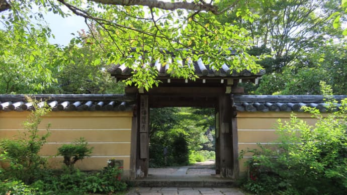 当尾・浄瑠璃寺の夏