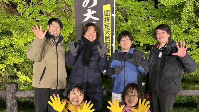 青池の青、大銀杏の黄色、カラフルな町、深浦町