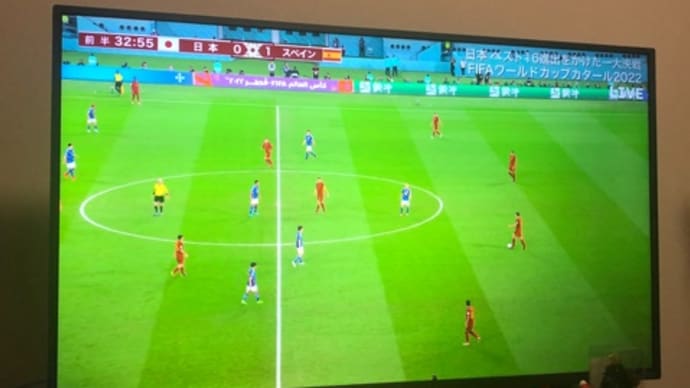 スペイン戦