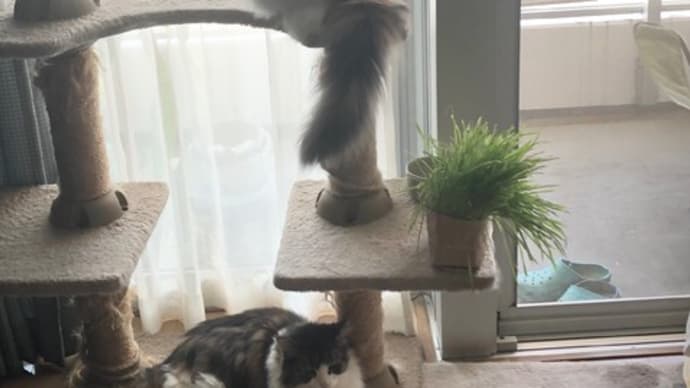 朝の2ショット