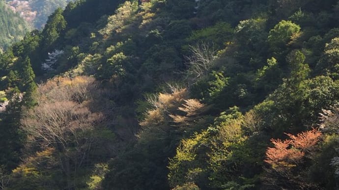 加子母村へ