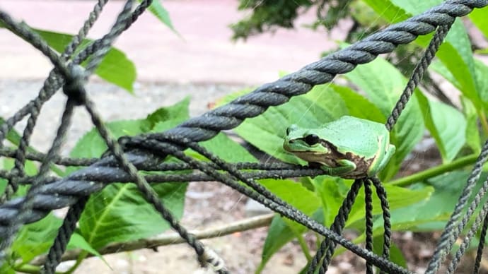 怒涛の日々も一段落…かな。。