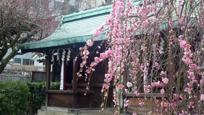 京都:鬼の居ぬ間に散歩へ!