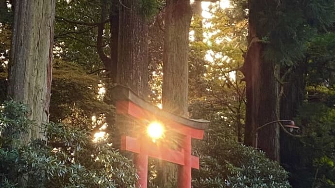 九頭龍神社と箱根神社にて