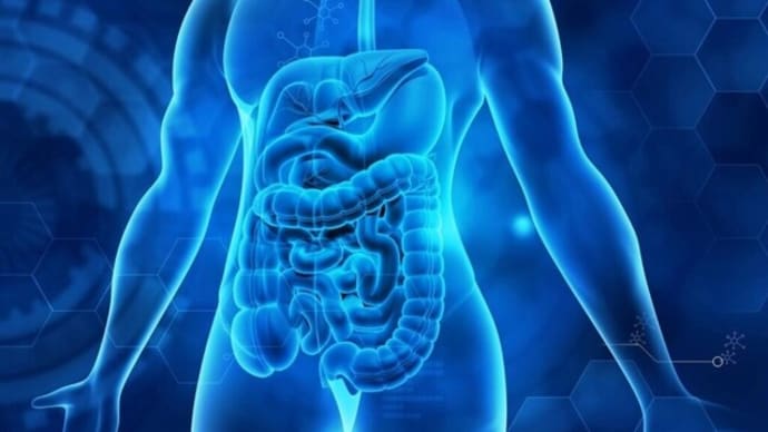 粘液の秘密 体を病気から守る見えない盾