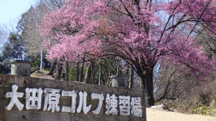 世界気象デー(World Meteorological Day)(^_-)-☆