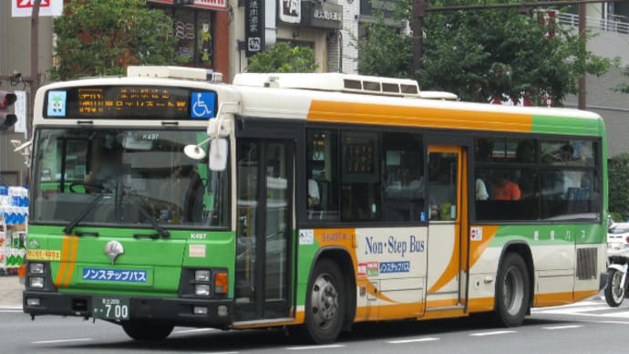 S-K497