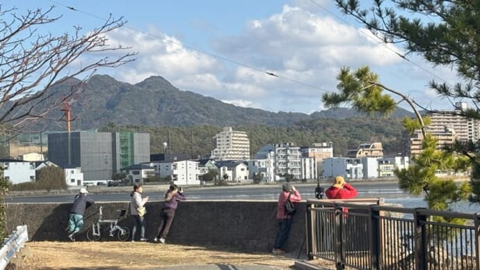 鳥見る人